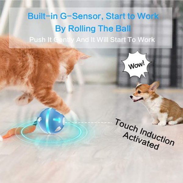 FocusPet® Interactive Toy Ball USB Smart: Elevate Playtime - Image 3