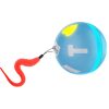 interactive pet toy ball
