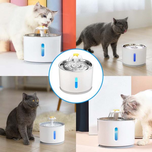 FocusPet® Replacement Filters: 2.4L Pet Water Fountain - Image 4