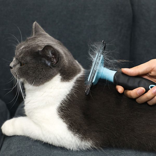 FocusPet® Brush Dogs Cats: 95% Shed Reduction - Image 4