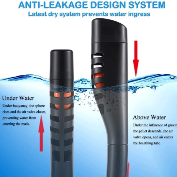 Professional Adult Full Face Snorkel Mask - Dual Breathing Tubes - Image 11