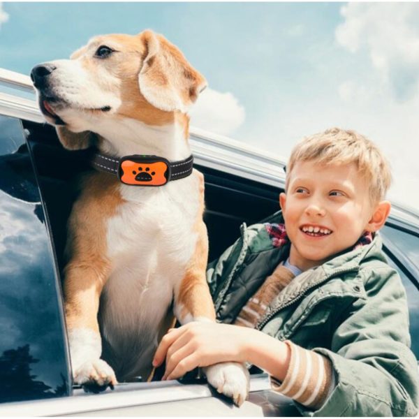 FocusPet® Humane Barking Collar Vibration Sound Rechargeable - Image 9