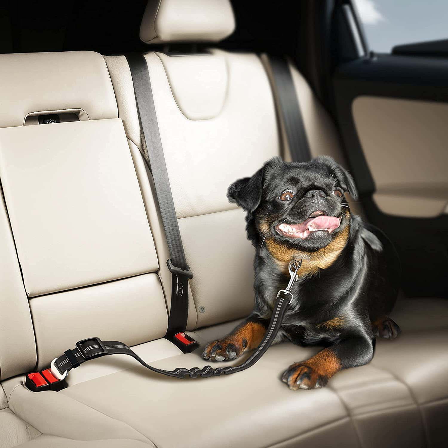 FocusPet® Adjustable Seat Belt Dog and Pet Car Harness - Image 5