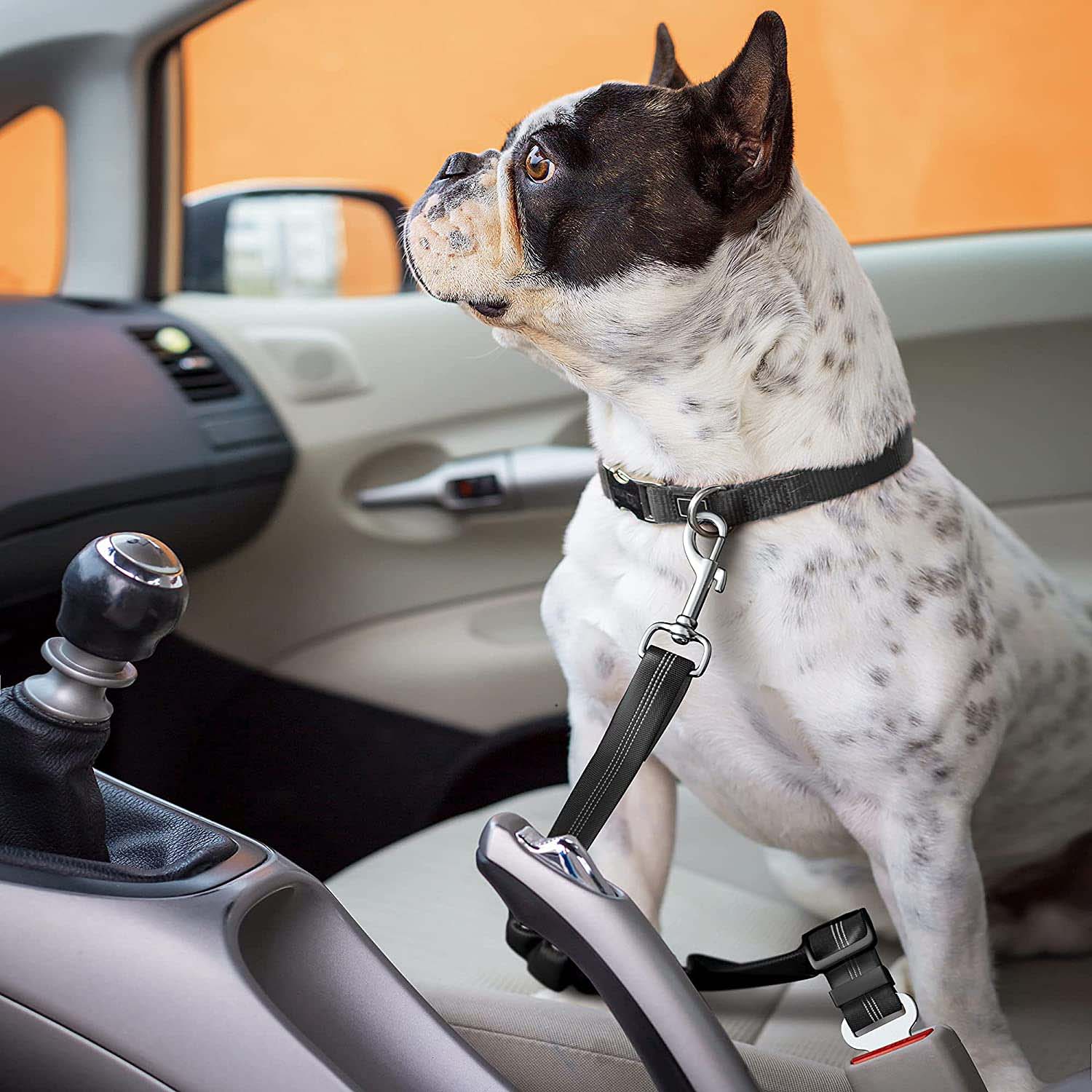 FocusPet® Adjustable Seat Belt Dog and Pet Car Harness - Image 6