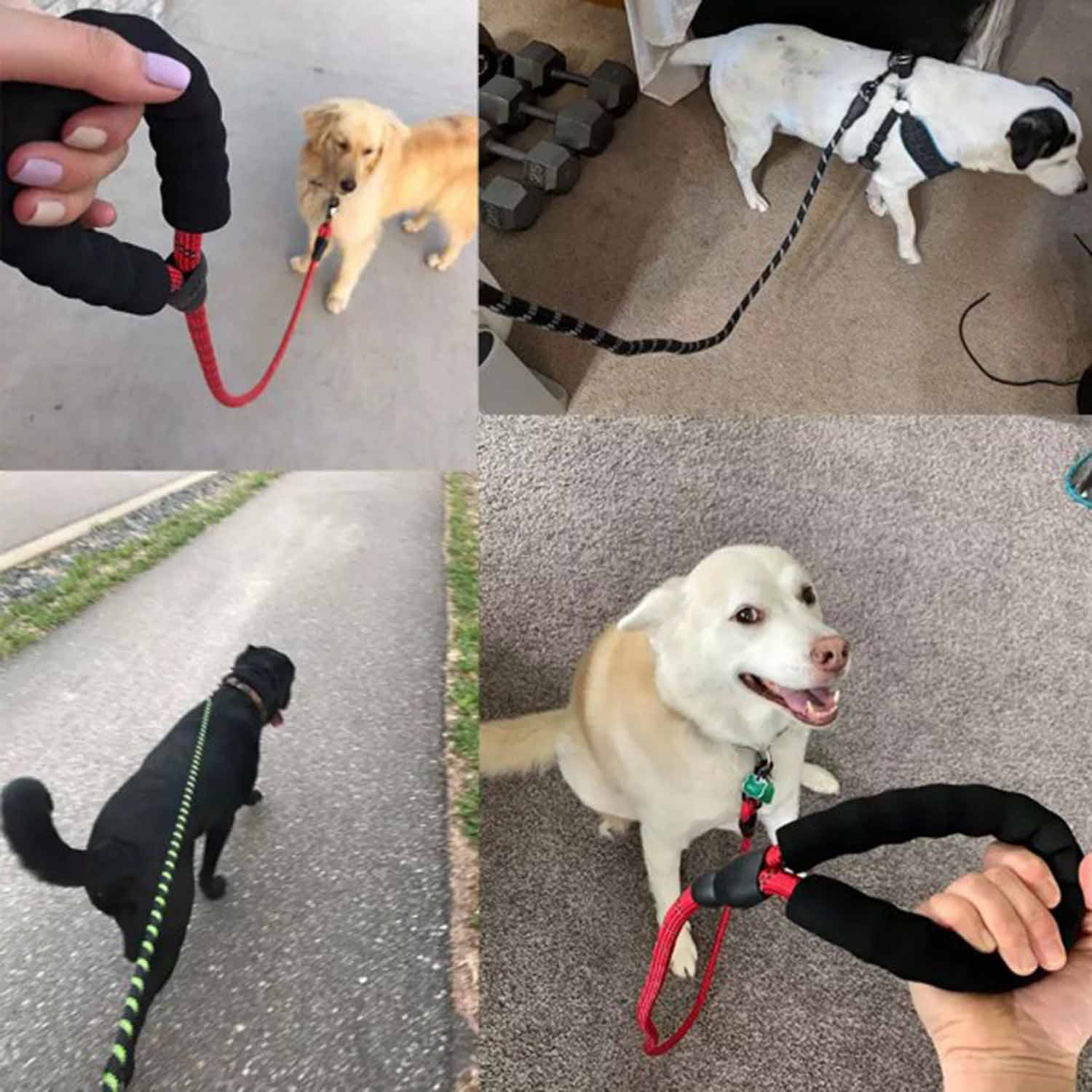 FocusPet® Reflective Dog Leash Nylon Braided Traction Rope - Image 8