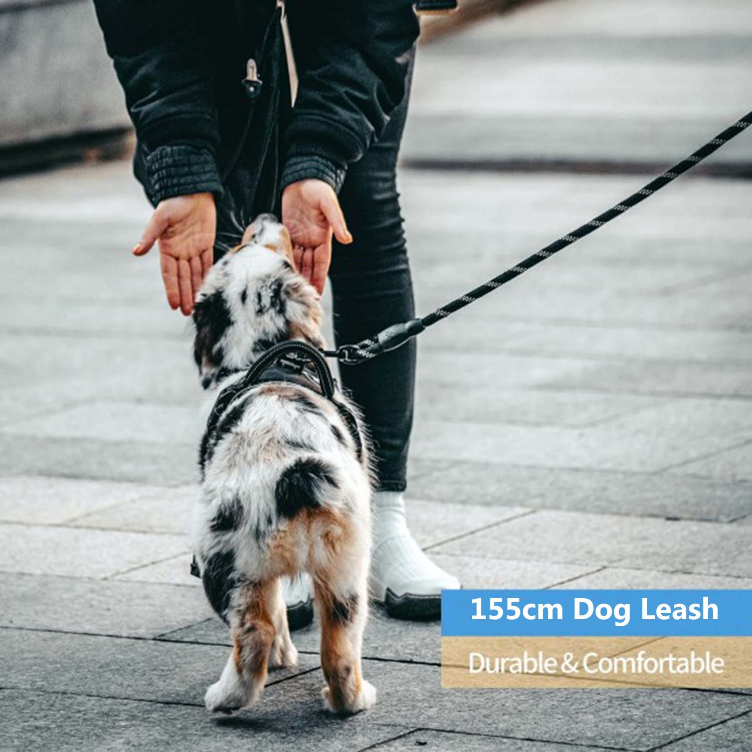 FocusPet® Reflective Dog Leash Nylon Braided Traction Rope - Image 13