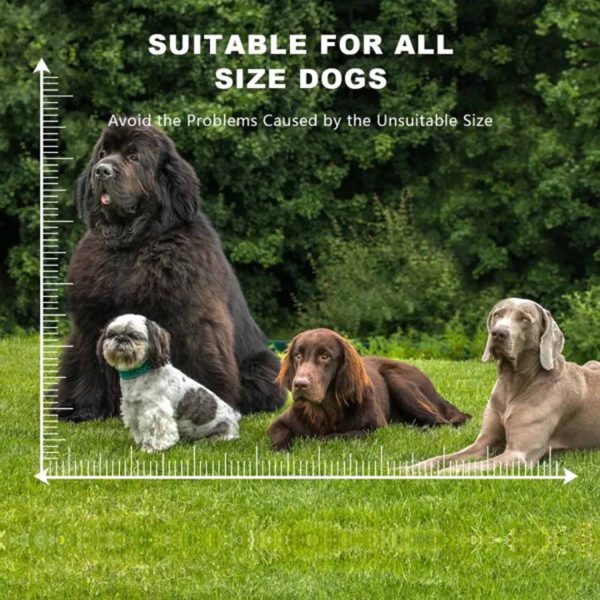 FocusPet® Ultrasonic Training Device Dog USB Rechargeable - Image 3