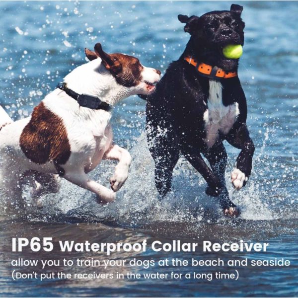 FocusPet® Bark Training Collar for Dog with Rechargeable Remote - Image 7