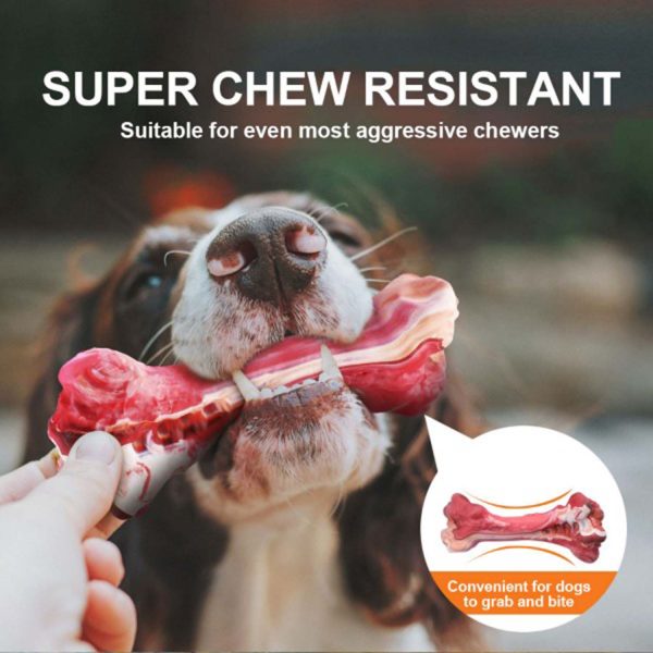 FocusPet® Non-Toxic Rubber Teeth Cleaning Dog Toy Chew-Resistant - Image 6