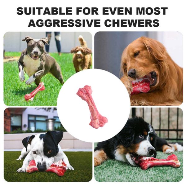 FocusPet® Non-Toxic Rubber Teeth Cleaning Dog Toy Chew-Resistant - Image 7