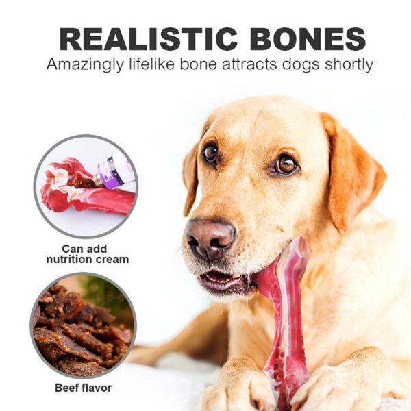 FocusPet® Non-Toxic Rubber Teeth Cleaning Dog Toy Chew-Resistant - Image 3