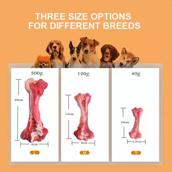 FocusPet® Non-Toxic Rubber Teeth Cleaning Dog Toy Chew-Resistant - Image 4