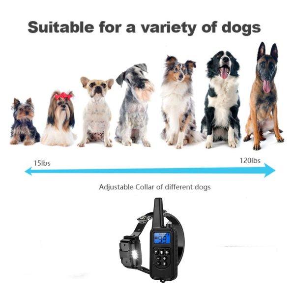 FocusPet® Bark Training Collar for Dog with Rechargeable Remote - Image 9