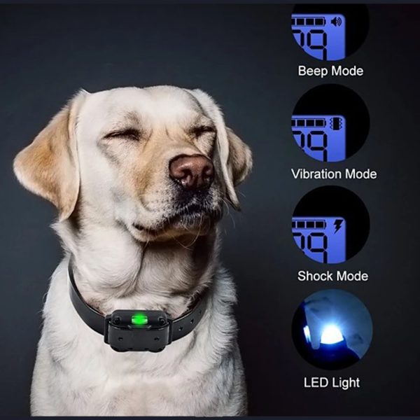 FocusPet® Bark Training Collar for Dog with Rechargeable Remote - Image 11