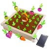 FocusToys® Montessori Wooden Carrot Harvest Game