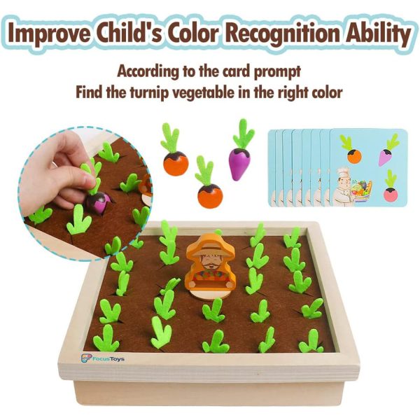 FocusToys® Montessori Wooden Carrot Harvest Game - Image 5